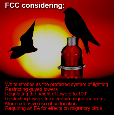 Tower Bird Kill FCC